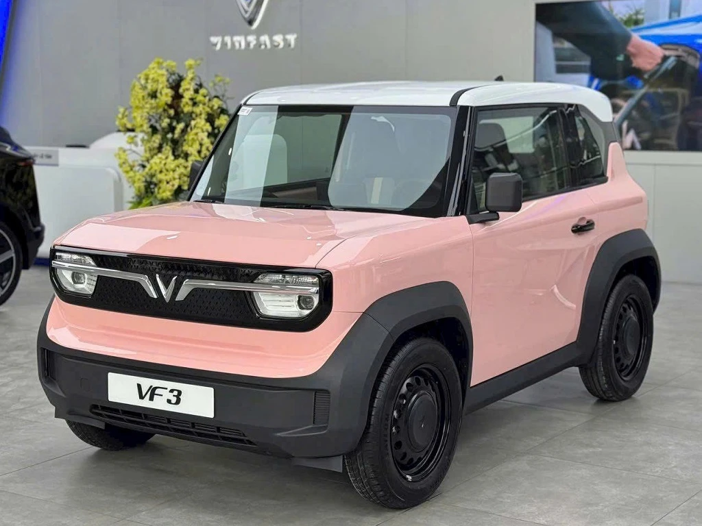 Bình Thạnh EV VF3-47 - Ảnh 1